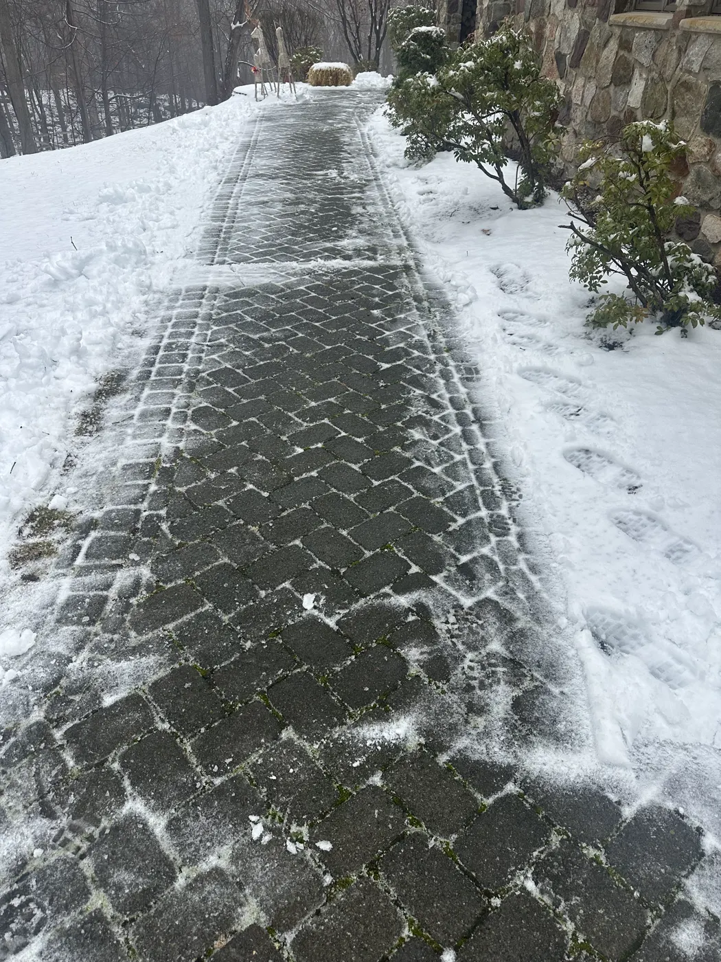Brick paver walkway cleared of snow between snowy garden beds